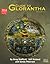 Guide to Glorantha Volume 2
