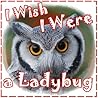 Books for Kids: I Wish I Were a Ladybug: A Story of Ozzy The Owl: Children's Books with Fun Facts (Bedtime Stories for Kids Ages 3-8) (Children's Books: Animal Bedtime Stories Book 3)