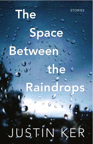 The Space Between the Raindrops (Paperback)