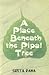 A Place Beneath the Pipal Tree