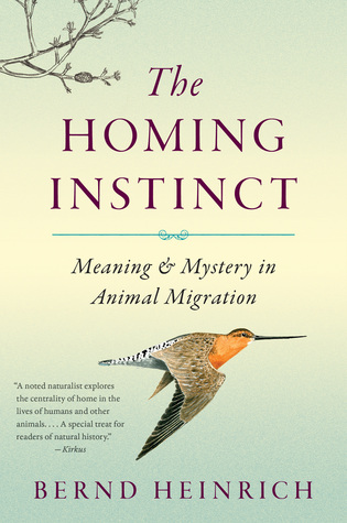 The Homing Instinct: Meaning and Mystery in Animal Migration – What Biology Reveals About Our Connection to Place and Happiness