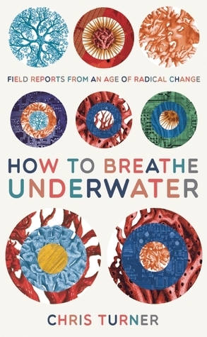 How to Breathe Underwater: Field Reports from an Age of Radical Change (Paperback)