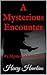 A Mysterious Encounter by Henry Hawkins