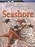 Seashore (100 Facts)