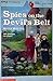 Spies on the Devil's Belt