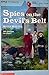 Spies on the Devil's Belt
