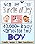 Name Your Bundle of Joy: 40...