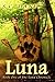 Luna (The Luna Chronicle Book 1)