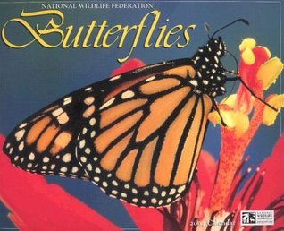 Butterflies 2004 Calendar (Calendar)