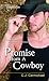 Promise from A Cowboy