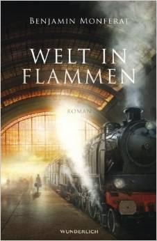 Welt in Flammen (Hardcover)