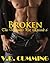 Broken (The Vampire's Pet, #6)
