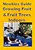 Newbies Guide Growing Fruit and Fruit Trees Indoors: Pick Fruit From Your Easy Chair