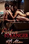 Perfect Stranger by K.B. Alan