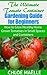 The Ultimate Tomato Container Gardening Guide for Beginners by Chloe Maelle