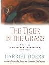 The Tiger In The Grass