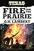 Fire On The Prairie (Fannin County, Texas Book 2)