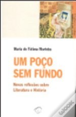 Um Poço Sem Fundo Novas Reflexões sobre Literatura e História