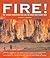 Fire! by Edward C. Goodman