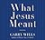 What Jesus Meant by Garry Wills