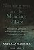 Nothingness and the Meaning of Life by Nicholas Waghorn
