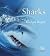Sharks