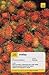 Teach Yourself Malay by Christopher Byrnes
