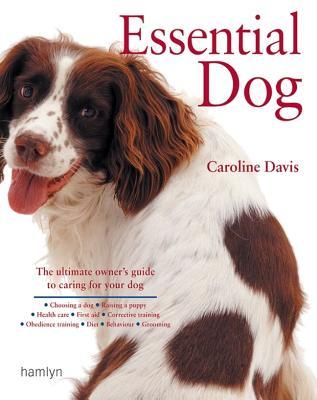 the essential dog