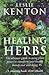 Healing Herbs : The Ultimate Guide to Using Plant Power to Transform Your Health, Beauty and Well-Being