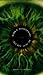 Only Revolutions by Mark Z. Danielewski
