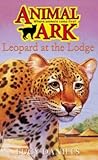 Leopard at the Lodge