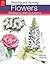 Drawing and Painting Flowers