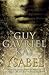 Ysabel by Guy Gavriel Kay