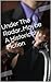 Under The Radar..Maybe A Historical Fiction