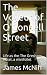 The Voyeur of O'Connell Street by James McNiff The Voyeur of O'Connell Street by James McNiff