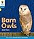 Barn Owls (Oxford Reading Tree: Level 3: Floppy's Phonics Non-Fiction)