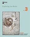 Exploring the Brain