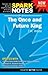 The Once & Future King (SparkNotes Literature Guide)