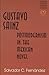 Gustavo Sainz: Postmodernism in the Mexican Novel (Studies in Literary Criticism and Theory)