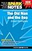 The Old Man and the Sea (Spark Notes Literature Guide)