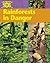 Rainforests in Danger