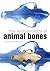 The Archaeology of Animal Bones