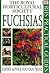 Fuchsias