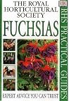 Fuchsias Fuchsias