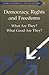 Democracy, Rights and Freedoms: What Are They? What Good Are They? (Studies in Theoretical and Applied Ethics)