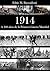 1914: A 100 años de la Primera Guerra Mundial (Spanish Edition)