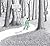 Into the Forest