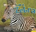 I am a Zebra