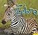 I am a Zebra by Aaron Carr