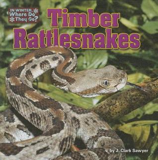 Timber Rattlesnakes (In Winter, Where Do They Go?)